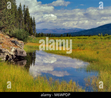 Snake River Basin, Rockefeller Memorial Parkway, adiacente al Yellowstone-Grand Teton National Park, Wyoming Foto Stock