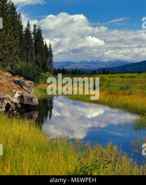 Snake River Basin, Rockefeller Memorial Parkway, adiacente a Yellowstone, Grand Teton National Parks, Wyoming Foto Stock