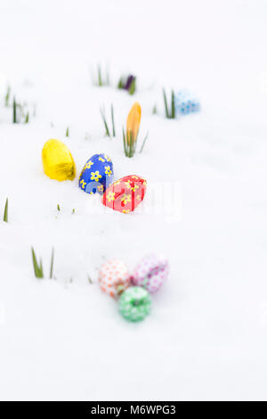 Primo piano delle uova di pasqua di cioccolato avvolto in rosa, arancione, verde, oro, blu e rosso lamina di alluminio recante sulla neve fresca oltre a giovani crocus giallo b Foto Stock