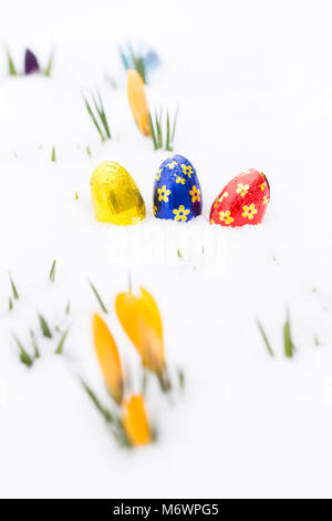 Primo piano di tre uova di pasqua di cioccolato avvolto in golden, blu e rosso lamina di alluminio recante sulla neve fresca oltre a giovani crocus giallo gemme all'aperto in Foto Stock