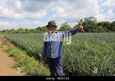 27 gennaio 2018, la Colombia, l'Agua Bonita: un ex combattente della guerriglia dell'organizzazione di guerriglieri delle FARC, Sandra Gonzalez alias Betsy, sorge accanto ad una banana e ananas campo che era cresciuto di fromer guerriglieri. Per decenni la sinistra organizzazione di guerriglia FARC hanno combattuto contro i militari e forze di polizia in Colombia. Ora, i membri di deporre le armi e a prendere una possibilità al ritorno alla vita civile nel piccolo paese del Caquetá dipartimento. Foto: Sinikka Tarvainen/dpa Foto Stock