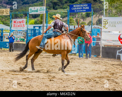 L'uomo bareback riding all'indietro Foto Stock