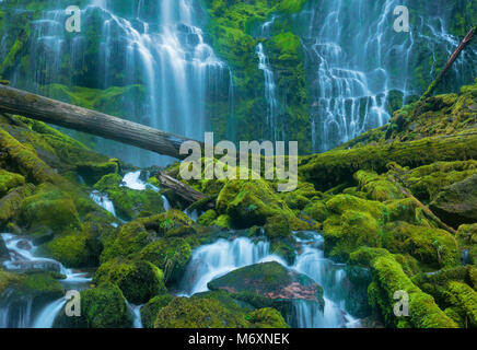 Cade Proxy, tre sorelle deserto Willamette-Deschutes National Forest, Oregon Foto Stock