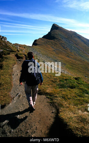 Monti Fagaras in Transilvania Romania. Foto Stock