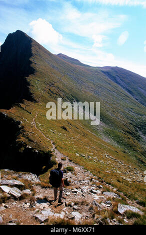 Monti Fagaras in Transilvania Romania. Parte della catena dei Carpazi della montagna. Settembre 2005. Foto Stock