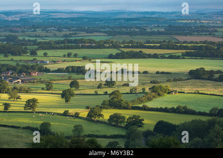 Prima luce su rolling farmland vicino Hazelbury Bryan da Bulbarrow Hill, Dorset, England, Regno Unito Foto Stock