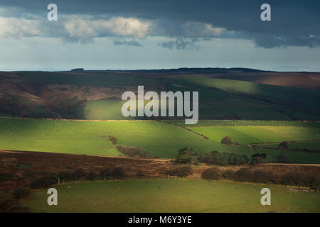 Prima luce su Stoke Pero dal Comune Dunkery Beacon, Exmoor, Somerset, Inghilterra, Regno Unito Foto Stock