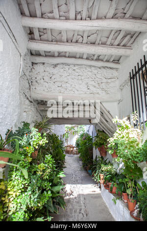 Tradizionale vicolo chiamato tinao. Caratteristica unica di architettura che collega gli edifici su entrambi i lati delle stradine del paese. Città di Capileira. La Alpujarra Foto Stock