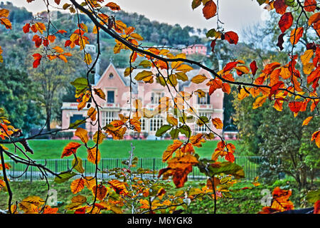 In autunno il faggio foglie decorare un bellissimo parco naturale sullo sfondo Foto Stock