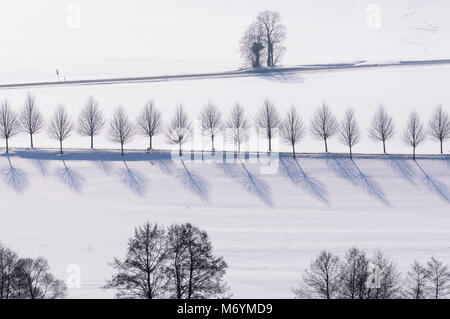 Hessische Rhön, verschneite Bäume, Assia, Deutschland, Europa Foto Stock