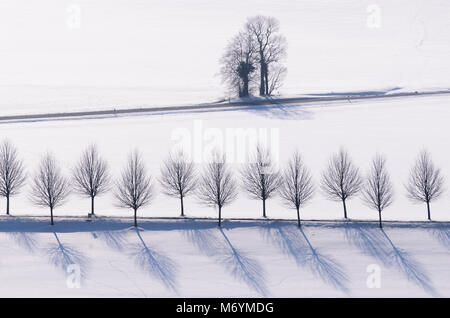 Hessische Rhön, verschneite Bäume, Assia, Deutschland, Europa Foto Stock