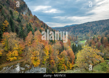 I colori autunnali nel Pertes de l'Ain, Jura, Franca Contea, Francia Foto Stock