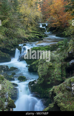 I colori autunnali nel Pertes de l'Ain, Jura, Franca Contea, Francia Foto Stock