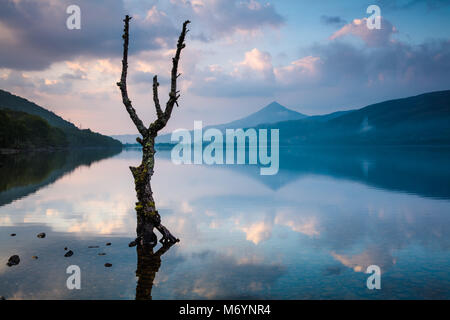 Schiehallion riflessa in Loch Rannoch all'alba, Perthshire, Scotland, Regno Unito Foto Stock