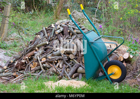 A Barrow accanto a un palo di legno nella foresta Foto Stock