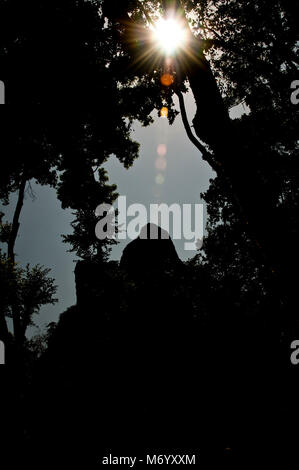 E Yaxhá Nakum, culturali e monumenti naturali, Guatemala, Petén Foto Stock