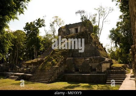 E Yaxhá Nakum, culturali e monumenti naturali, Guatemala, Petén Foto Stock