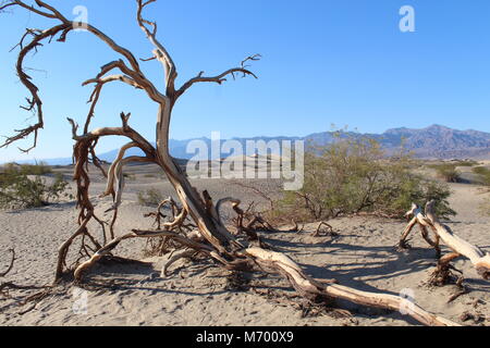 Le foto scattate nella Valle della Morte Foto Stock