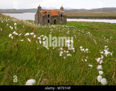 Cottage in pietra in un campo di erba di cotone Harris Ebridi Esterne della Scozia Foto Stock