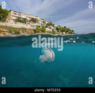 Hotel sulla costa del mar Mediterraneo con una medusa subacquea, vista suddivisa al di sopra e al di sotto della superficie dell'acqua, in Spagna, in Costa Brava Catalogna Foto Stock
