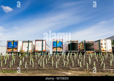 Aldi branded autoarticolato rimorchi al di fuori del nuovo Aldi magazzino di distribuzione logistica a nord, oltre Hulton, Bolton. Foto Stock