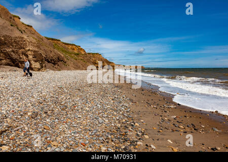 Un dog walker lascia la spiaggia e scogliere a Seaham, County Durham, Regno Unito Foto Stock