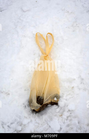 Rifiuti di cane in un sacchetto di plastica lasciato sul terreno innevato Foto Stock