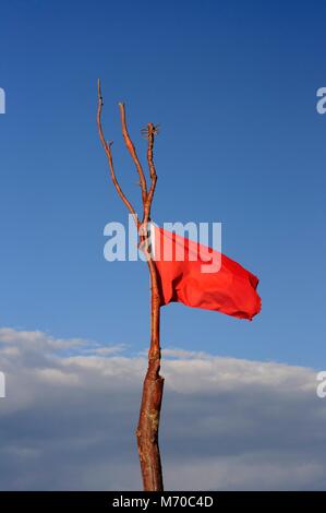Bandiera rossa sulla spiaggia Foto Stock