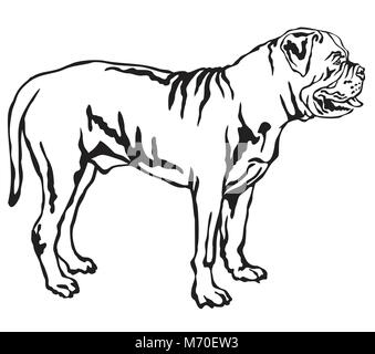 Ritratto decorativo di standing in profilo Boerboel cane, vettore isolato illustrazione in colore nero su sfondo bianco Illustrazione Vettoriale