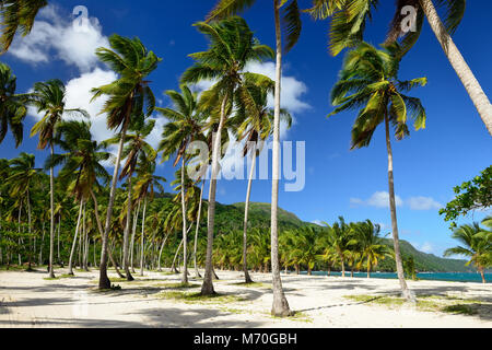 La spiaggia di Rincon su Repubblica Dominicana. Foto Stock