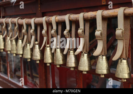 Rhodope campane sul villaggio di Shiroka Laka, Bulgaria Foto Stock