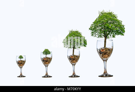 Struttura in vetro di monete isolare aumentare il risparmio di denaro lato albero di monete l'albero cresce sulla pila. Risparmio di denaro per il futuro. Le idee di investimento e Business Gr Foto Stock