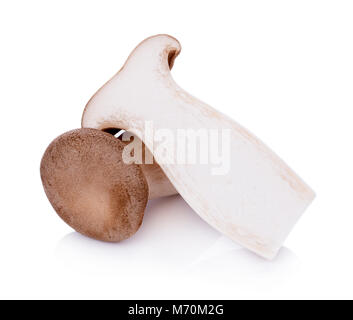 Re oyster fungo Pleurotus eryngii su sfondo bianco Foto Stock