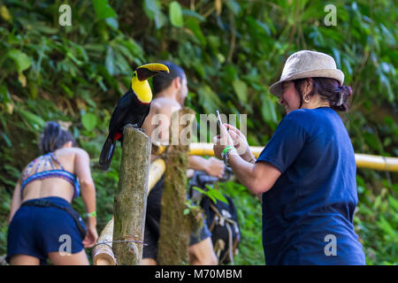 Nauyaca, Costa Rica - 28 gennaio: Toucan appollaiato su un palo vicino a turisti in Costa Rica. 28 gennaio 2018, Nauyaca, Costa Rica Foto Stock