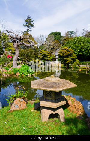 Giardino giapponese del tè in San Francisco Foto Stock