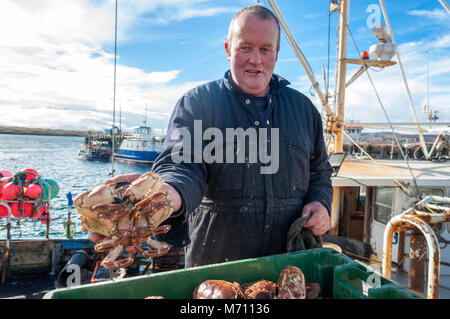 Burtonport, County Donegal, Irlanda. Il 7 marzo 2018. Granchi sono scaricate da una fascia costiera di pesca in barca sul Quayside. La stagione è iniziata dopo l'inverno e le recenti tempeste. Questa cattura granchio è destinata all' esportazione dall' Irlanda. Credito: Richard Wayman/Alamy Live News Foto Stock