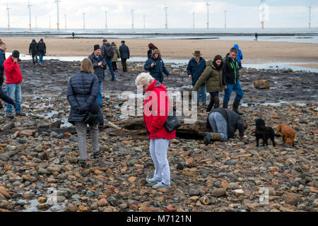 Redcar Cleveland North Yorkshire 7 marzo 2018, recenti tempeste sulla costa orientale hanno strofinato con ampie aree di sabbia da Redcar beach. Normalmente coperto di sabbia in una grande area di legno fossile da alberi risalenti all'era glaciale è stato esposto e ha attirato folle di persone interessate alla spiaggia per vedere i resti storici della foresta e i relitti del legno e di navi da pesca. Credito: Pietro Giordano NE/Alamy Live News Foto Stock