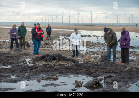 Redcar Cleveland North Yorkshire 7 marzo 2018, recenti tempeste sulla costa orientale hanno strofinato con ampie aree di sabbia da Redcar beach. Normalmente coperto di sabbia in una grande area di legno fossile da alberi risalenti all'era glaciale è stato esposto e ha attirato folle di persone interessate alla spiaggia per vedere i resti storici della foresta e i relitti del legno e di navi da pesca. Credito: Pietro Giordano NE/Alamy Live News Foto Stock