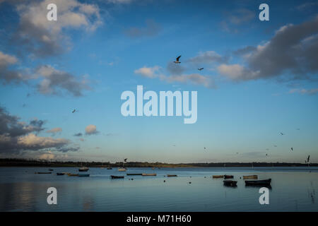 Barche ormeggiate nel fiume Stour estuario a Mistley, Essex Foto Stock