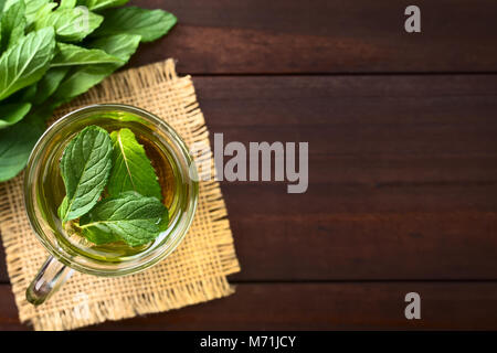 Preparate di fresco menta tè alle erbe in vetro, guarnite con foglie di menta, fotografato overhead (messa a fuoco selettiva, concentrarsi sulle foglie del tè) Foto Stock