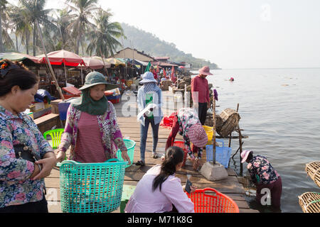 Kep Cambogia - Crab pescatori portando la cattura di granchio al mercato per lo smistamento e la vendita da parte delle donne sul molo, Kep mercato di granchio, Cambogia, Asia Foto Stock