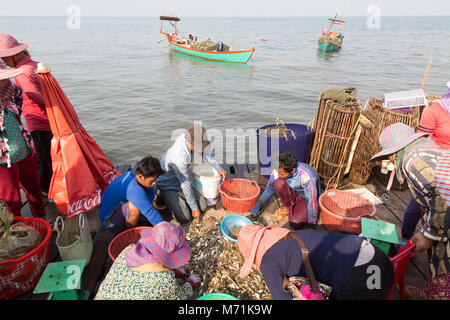 Kep Cambogia - Crab pescatori portando la cattura di granchio al mercato per lo smistamento e la vendita da parte delle donne sul molo, Kep mercato di granchio, Cambogia, Asia Foto Stock