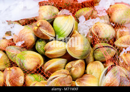 Appena pescato il pesce di mare. Frutti di mare su ghiaccio al mercato del pesce. Chiudere il pesce al mercato del pesce. Cozze fresche di pesce del mercato contadino pronti per la vendita e l'uso Foto Stock