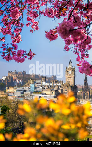 Vista della Città Vecchia Edimburgo con alberi di primavera in Scozia Foto Stock