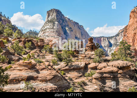 Una vista dal Canyon Overlook Trail a Zion National Park nello Utah. Foto Stock