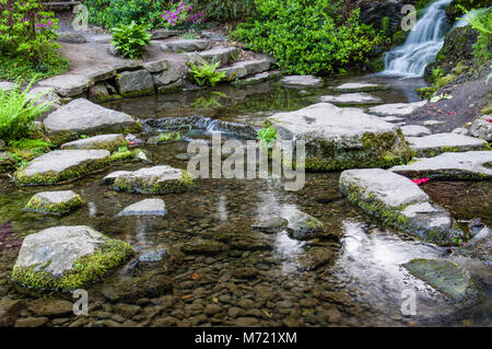 Una piccola cascata e lo streaming con rocce in Crystal Springs Rhododendron Gardens. Portland Oregon Foto Stock