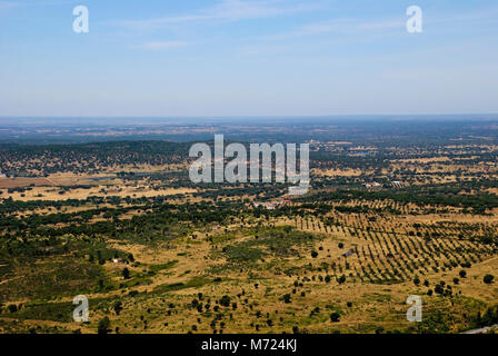 Landscpe secco con alberi di olivo in Alentejo, Portogallo Foto Stock