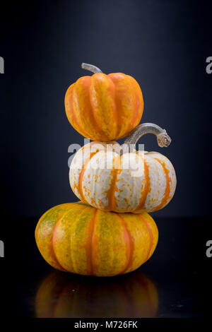 Acorn squash e due piccole zucche nella torre Foto Stock