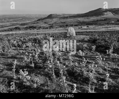 Visualizza S di Cae Coch pietra permanente su S pendii di Tal y ventola con Pen y Gaer centro hillfort L & Conwy Valley lontano L. La pietra sorge su un piccolo tumulo. Foto Stock