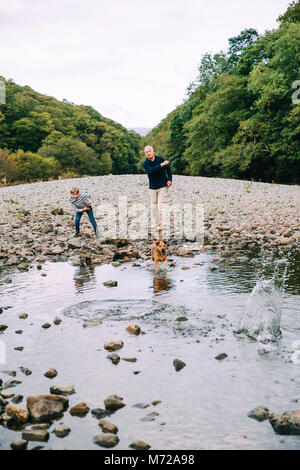 Little Boy e suo nonno sono fuori su un wlak nei boschi. Essi hanno trovato un piccolo laghetto e stanno gettando le pietre per il loro cane per recuperare. Foto Stock